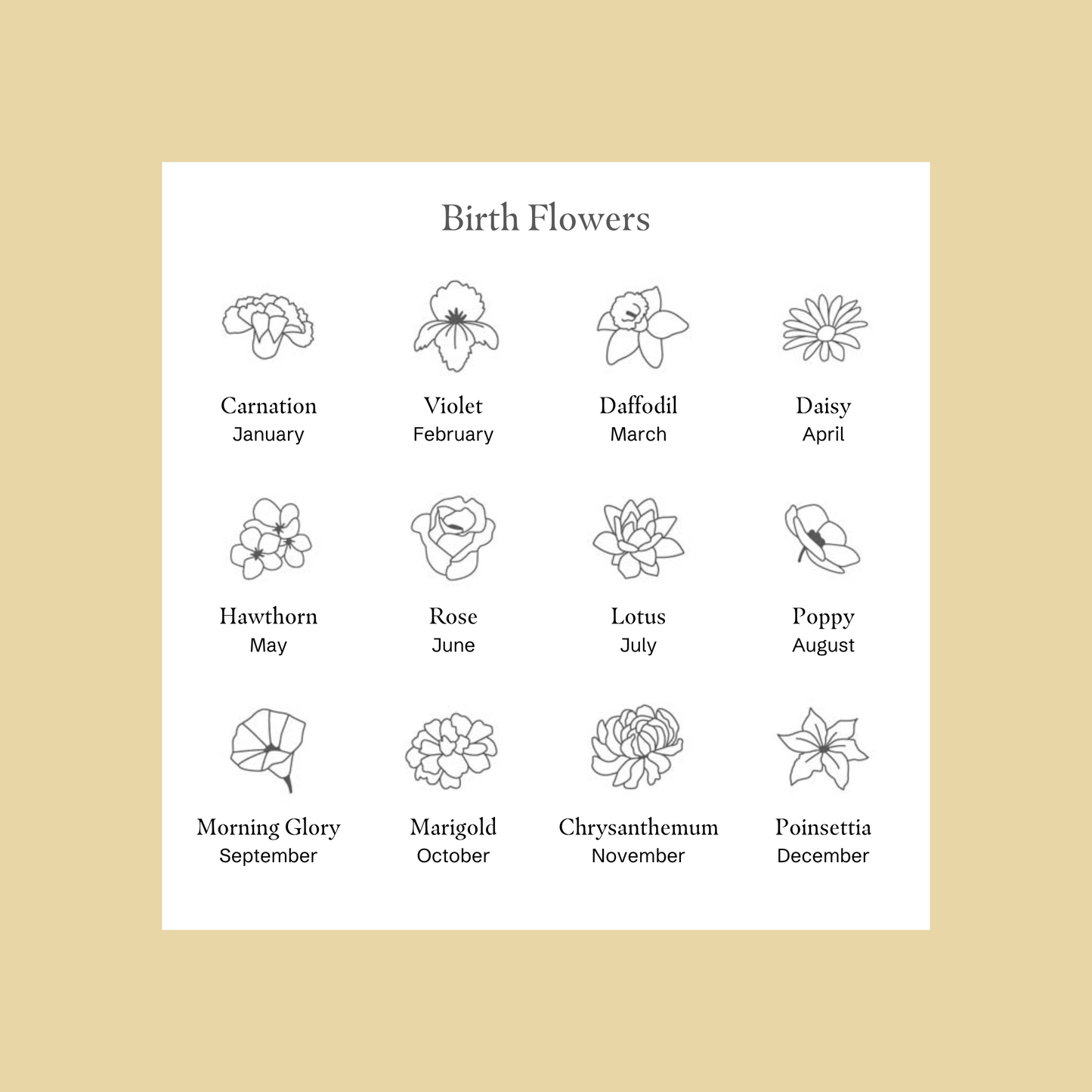 Skerries, Birth Flower - 14ct Gold-fill