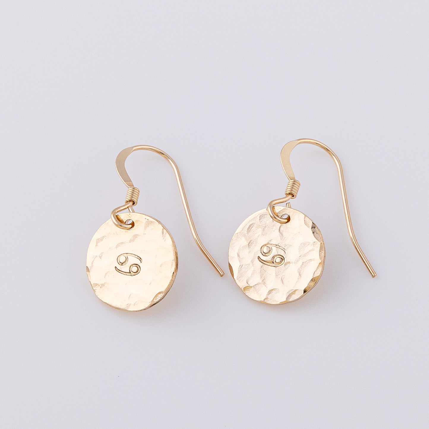 Two fish hook earrings in 14ct gold fill. They have a star sign stamped in the centre. These personalsied disc earrings have a sparkle in the light thanks to their hammered finish.