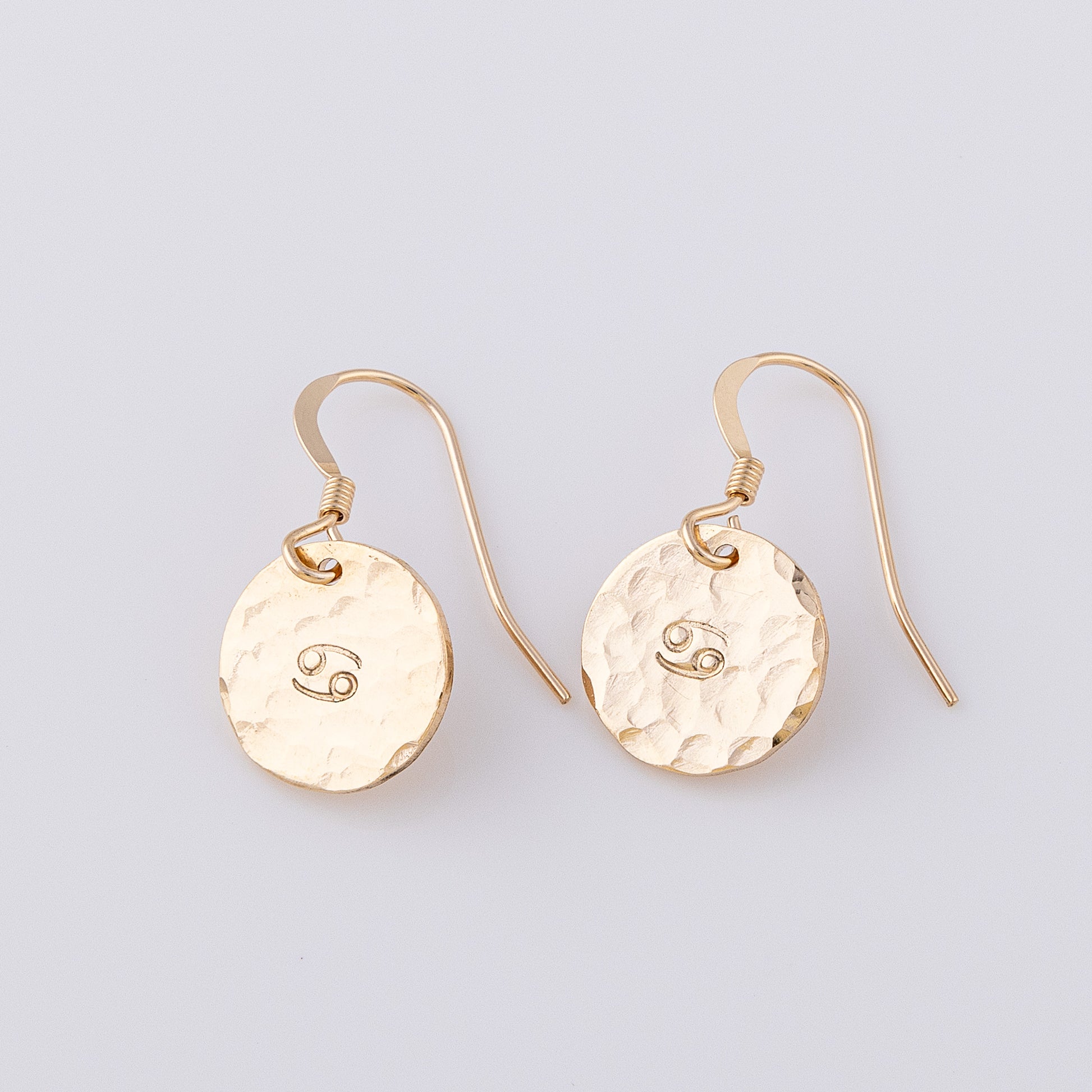 Two fish hook earrings in 14ct gold fill. They have a star sign stamped in the centre. These personalsied disc earrings have a sparkle in the light thanks to their hammered finish.