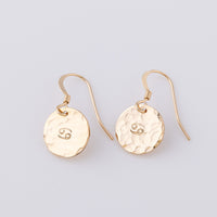 Two fish hook earrings in 14ct gold fill. They have a star sign stamped in the centre. These personalsied disc earrings have a sparkle in the light thanks to their hammered finish.