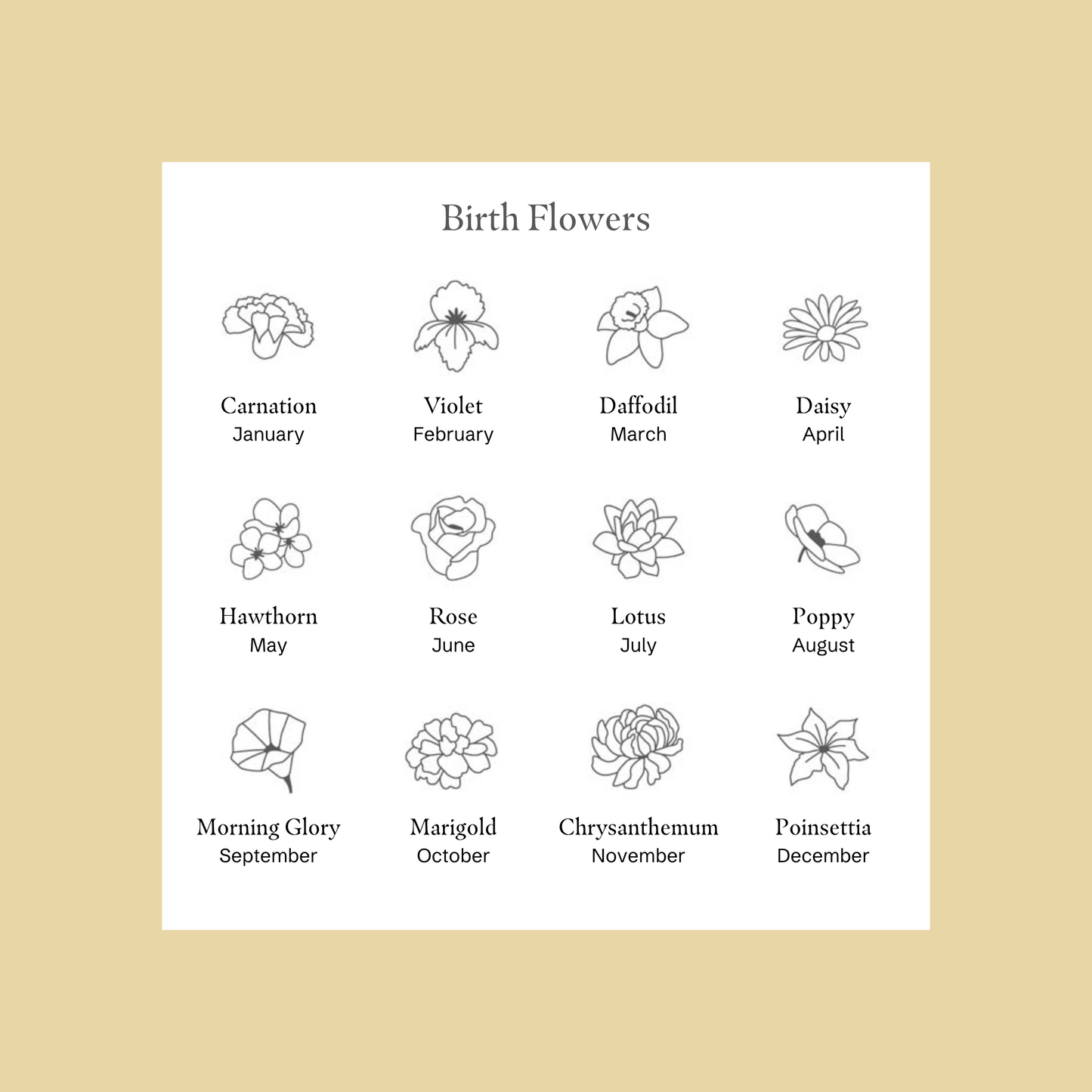 Graphic displaying the different birth flowers for each month with name labels underneath each image 